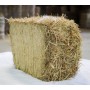 ToutBio rice straw